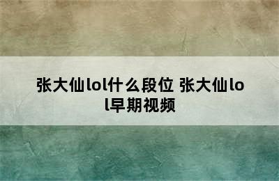 张大仙lol什么段位 张大仙lol早期视频